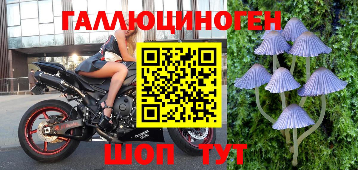 Псилоцибиновые грибы Psilocybine cubensis  Вход с VPN  Пенза  Галлюциногенные грибы Psilocybe 