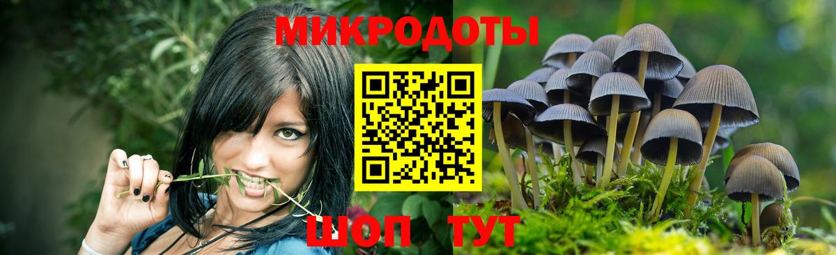 Галлюциногенные грибы мицелий Пенза